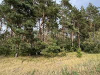 Radtour Oder Ostsee-024